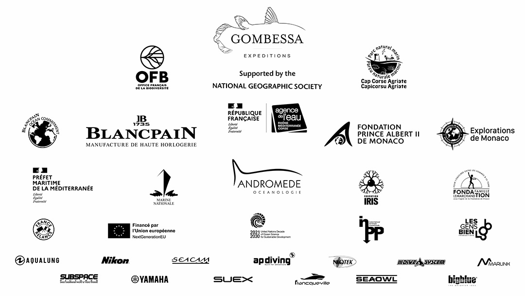 Partenaire expédition : Le Mystère des anneaux du Cap Corse 2021