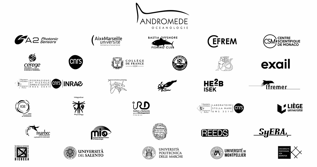 Partenaire expédition : Le Mystère des anneaux du Cap Corse 2024